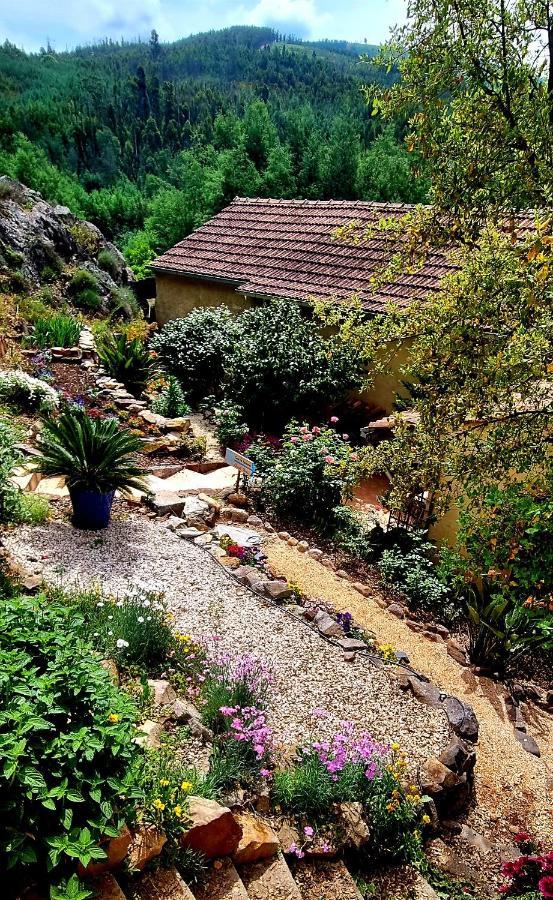 Quinta Do Cabril Apartment Serpins Exterior foto